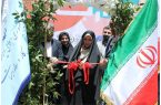 طرح ملی «هزار میدان هزار بازار» آغاز به کار کرد