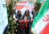 طرح ملی «هزار میدان هزار بازار» آغاز به کار کرد